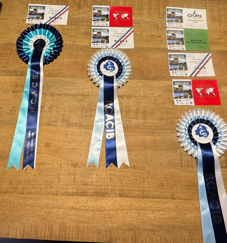 RESULTATS EXPOSITION CACIB PERIGUEUX
