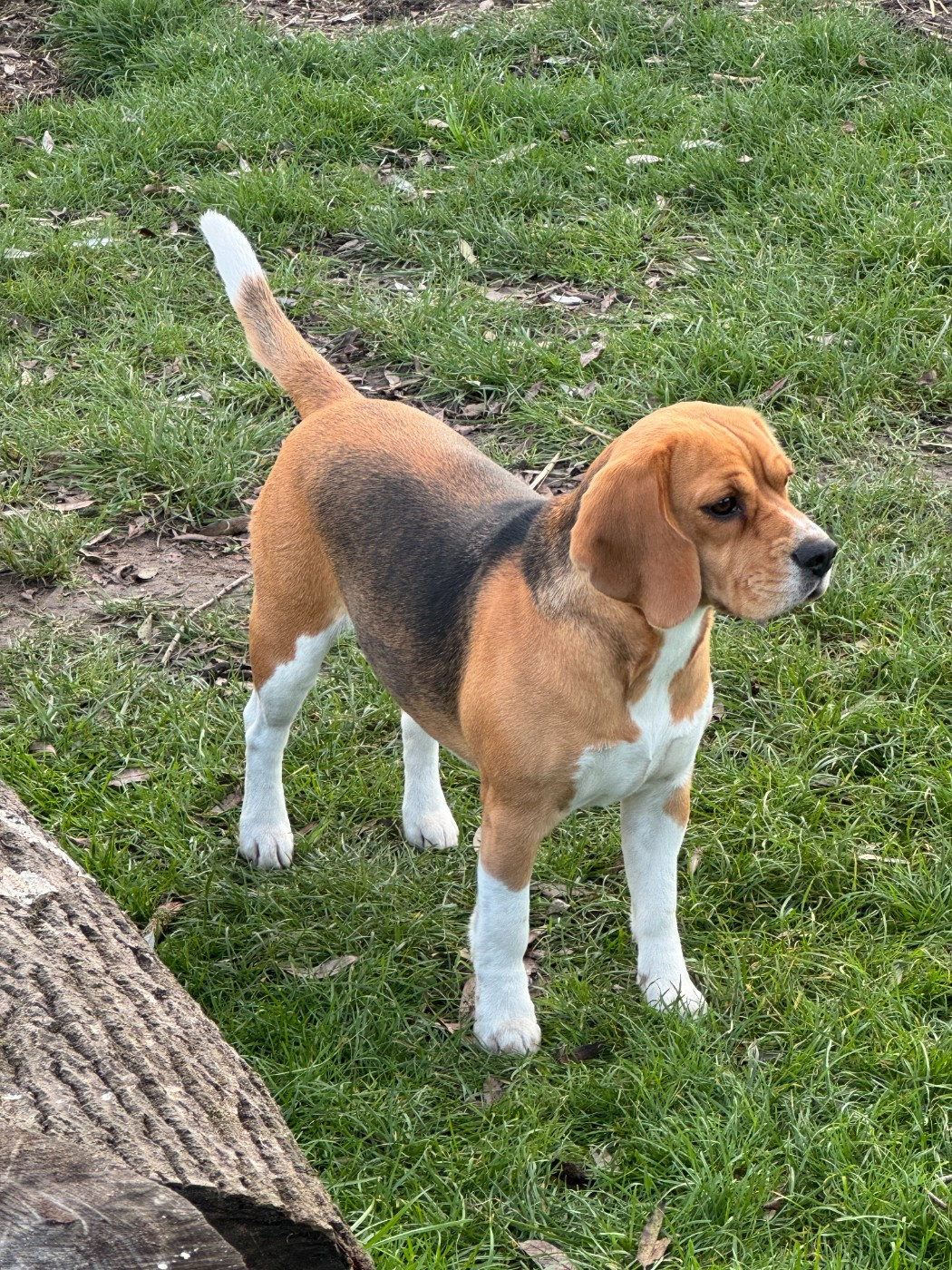 UNA DES TERRES D'OLIM'S